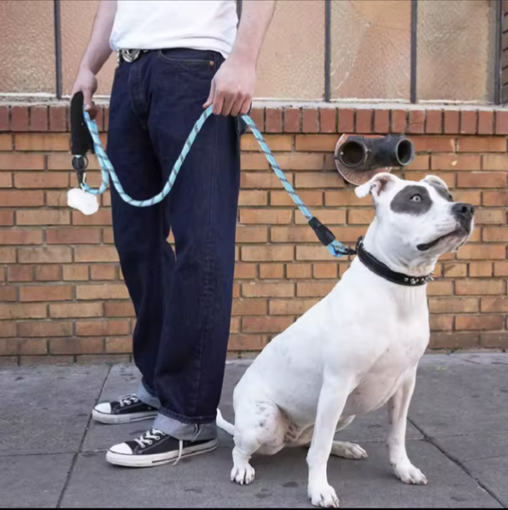 Strong Nylon Dog Leash Soft Handle for Small Medium Large Dogs - photo 2