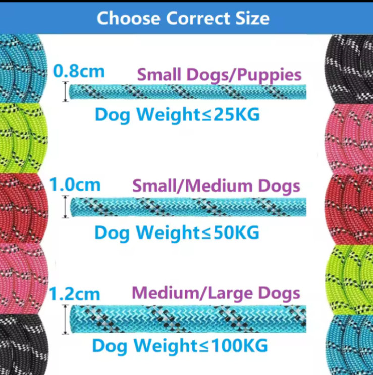 Strong Nylon Dog Leash Soft Handle for Small Medium Large Dogs - photo 4