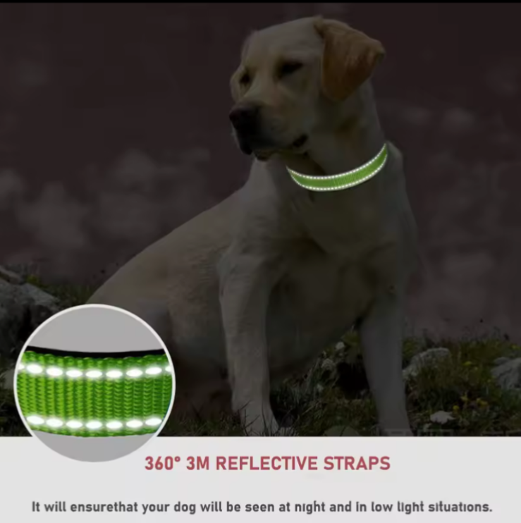 Cute Small Dog Collar Puppy Cat Collar Bow Bell Adjustable Pet N - photo 2