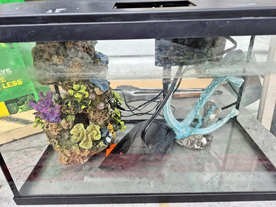 10 Gallon Aquarium