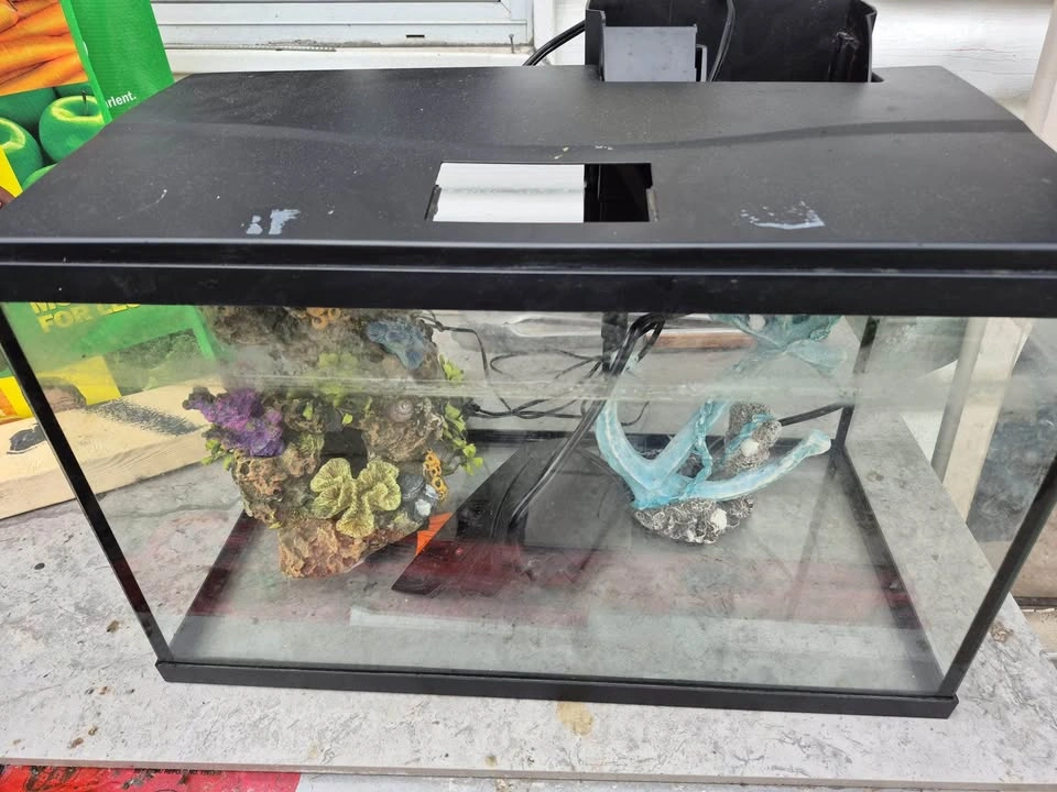 10 Gallon Aquarium - photo 2