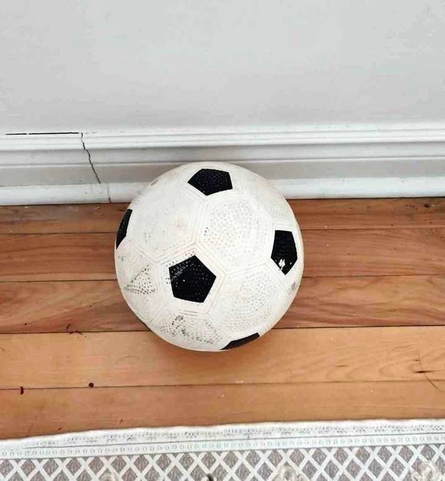 Size 5 Soccer Ball - Park/Yard Play