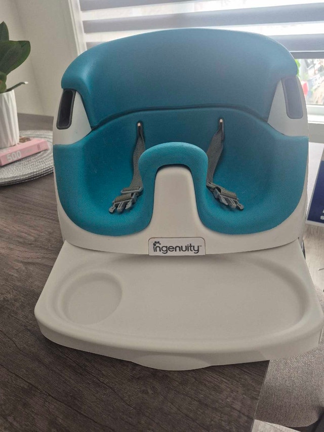 Ingenuity Booster Seat