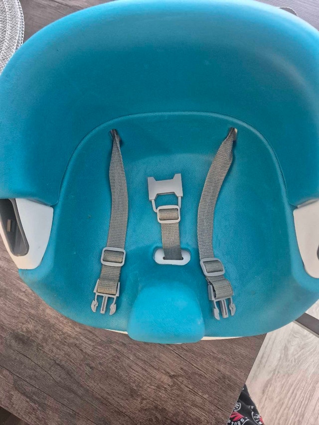 Ingenuity Booster Seat - photo 2