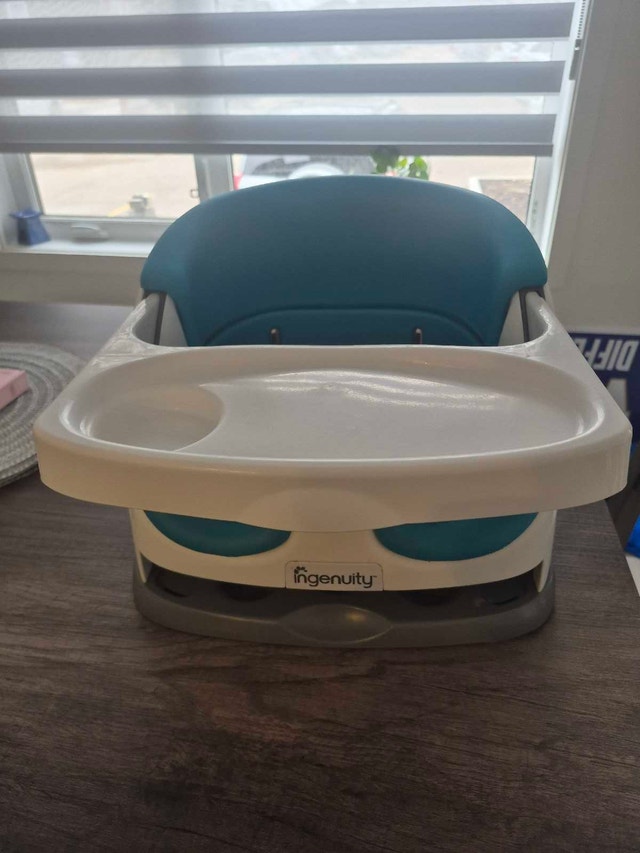 Ingenuity Booster Seat - photo 4