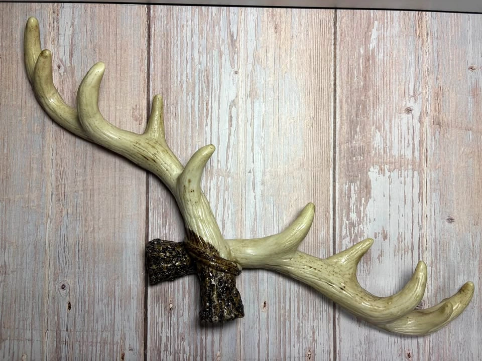 Deer Antler Wall Hook Rustic Decor