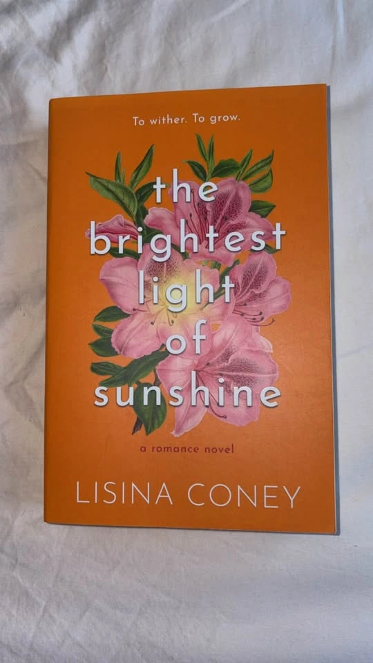 The Brightest Light series by Lisina Coney - photo 2