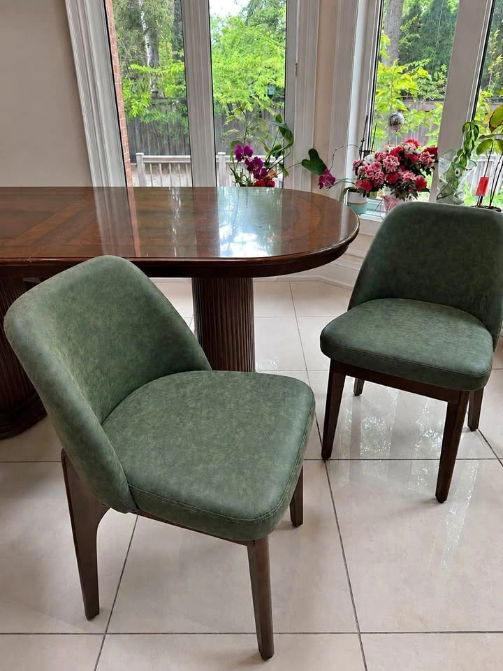 Set of 2 Modern Green Dining Chairs – Like New