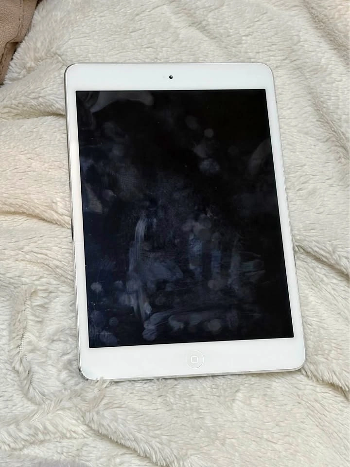 Apple iPad Mini
