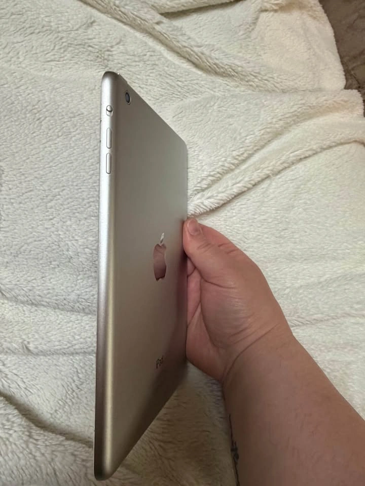 Apple iPad Mini - photo 3
