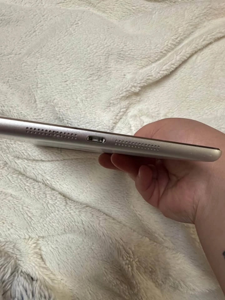 Apple iPad Mini - photo 4