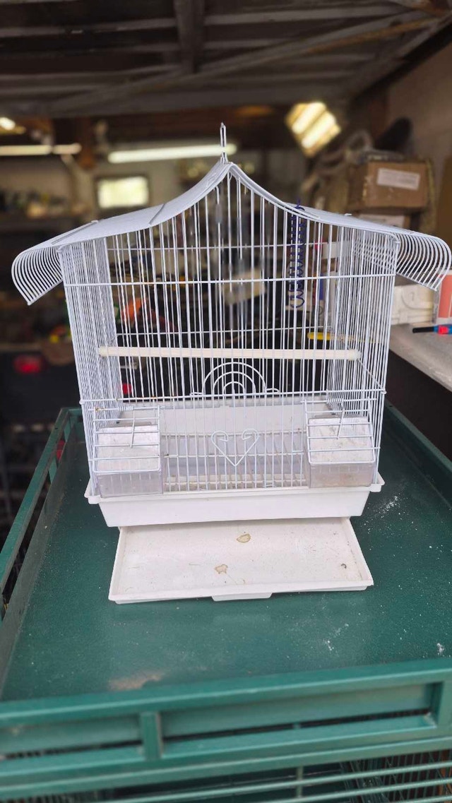 Small bird cage for finch or budgie or similar small birds.