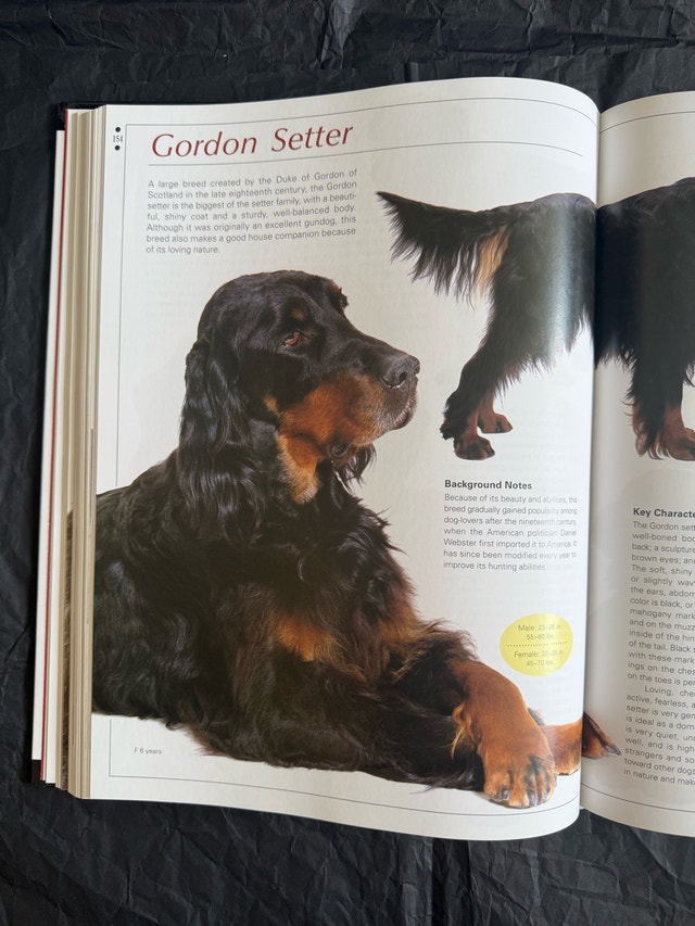 Legacy of the Dog: The Ultimate Illustrated Guide - photo 5