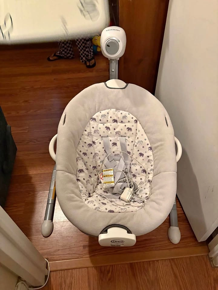 Graco Baby Swing