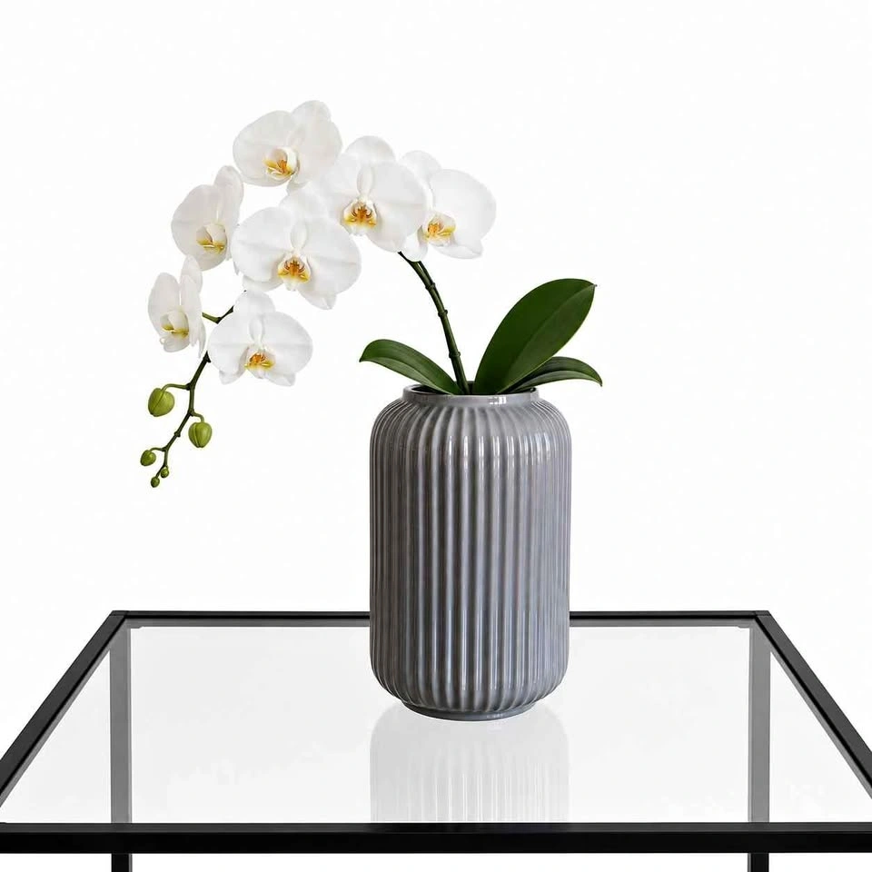 IKEA STILREN Grey Vase + White Orchid Arrangement