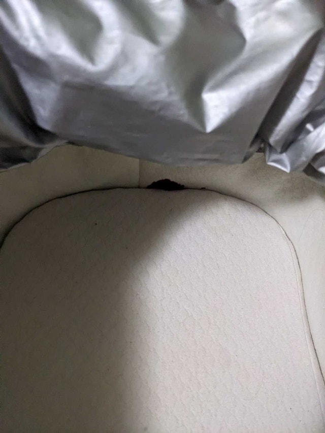 Bassinet - photo 4