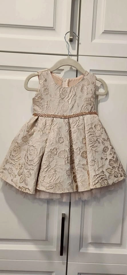 Shimmering Pink Party Dress (toddler girl size 12M)