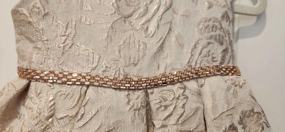 Shimmering Pink Party Dress (toddler girl size 12M) - photo 2