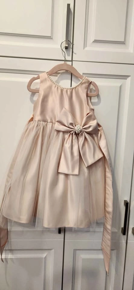 Pink Satin Special Party Dress (Toddler Girls Size 2)