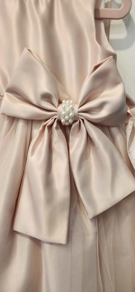 Pink Satin Special Party Dress (Toddler Girls Size 2) - photo 3