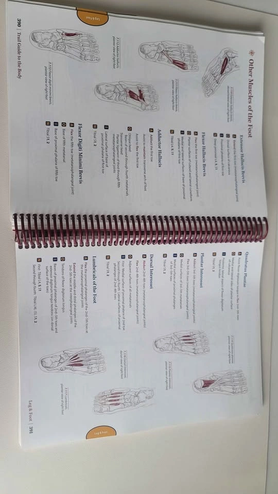 Trail Guide to the Body Revised 5th Edition - photo 2