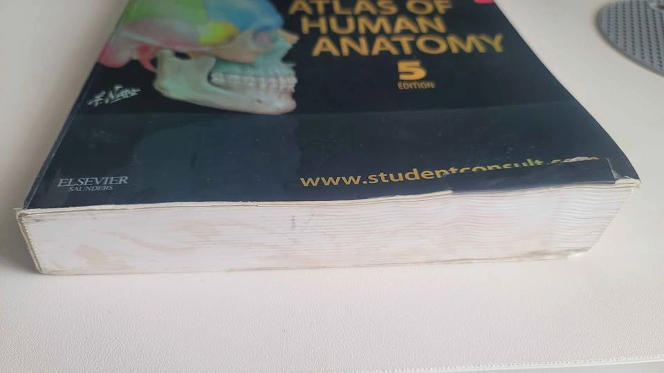 Frank H. Netter Atlas of Human Anatomy - 5th Edition - photo 2
