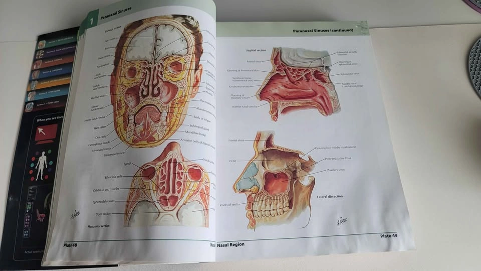 Frank H. Netter Atlas of Human Anatomy - 5th Edition - photo 5