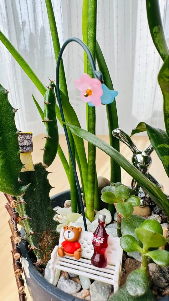 Cute handmade pot & Super low maintenance plants - photo 2
