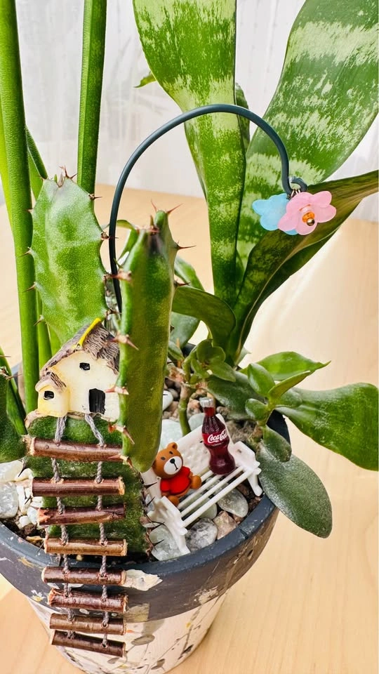 Cute handmade pot & Super low maintenance plants - photo 3