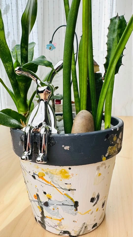 Cute handmade pot & Super low maintenance plants - photo 4