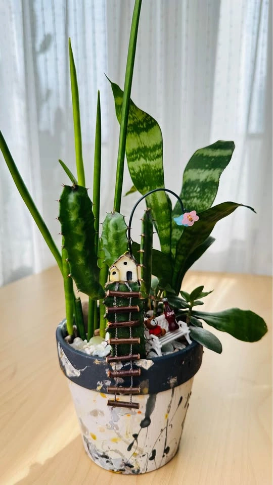 Cute handmade pot & Super low maintenance plants - photo 5