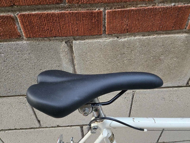 Raleigh Record Ace Bicycle - photo 4
