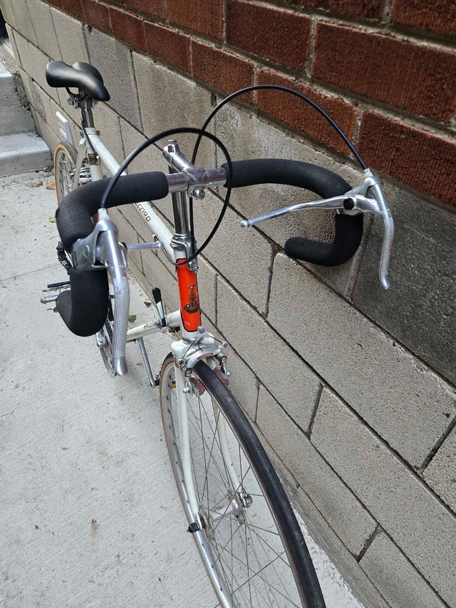 Raleigh Record Ace Bicycle - photo 5
