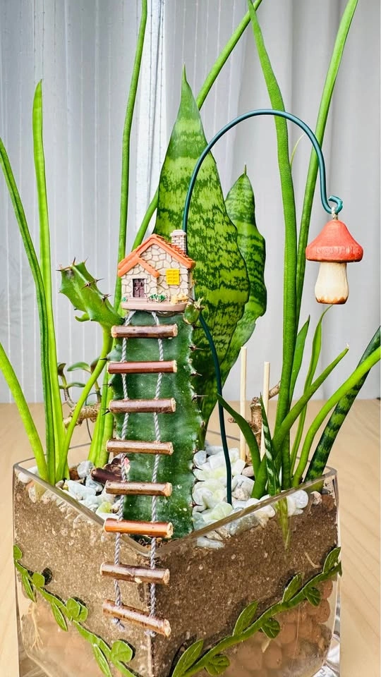 Cute plant arrangement at half price - photo 2