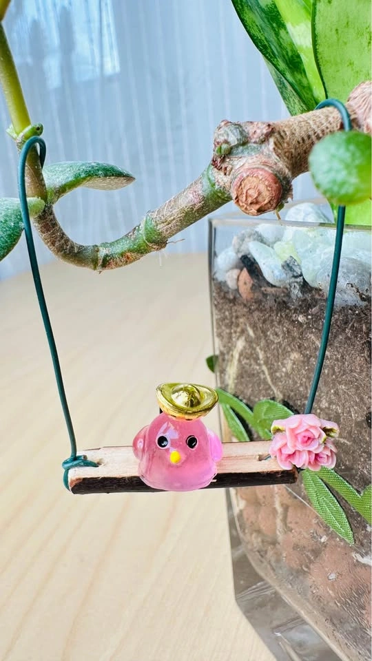 Cute plant arrangement at half price - photo 4