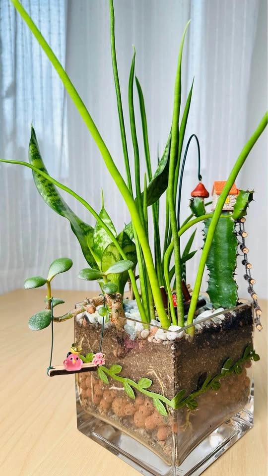 Cute plant arrangement at half price - photo 5