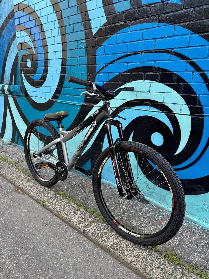 Specialized P2 Dirt Jumper Bike