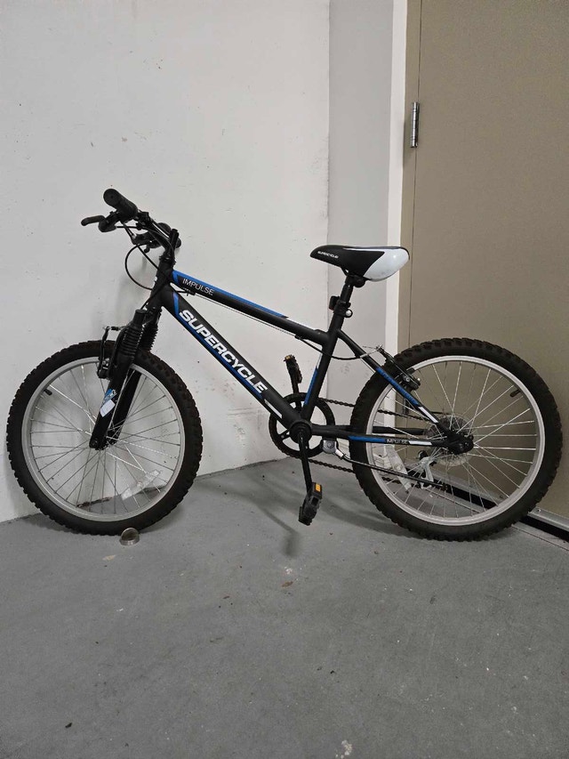 20" Youth Mountain Bike