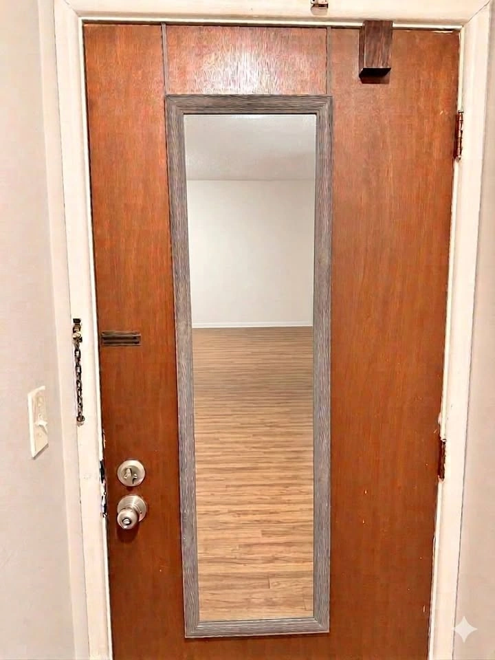 Over the Door Full Length Mirror