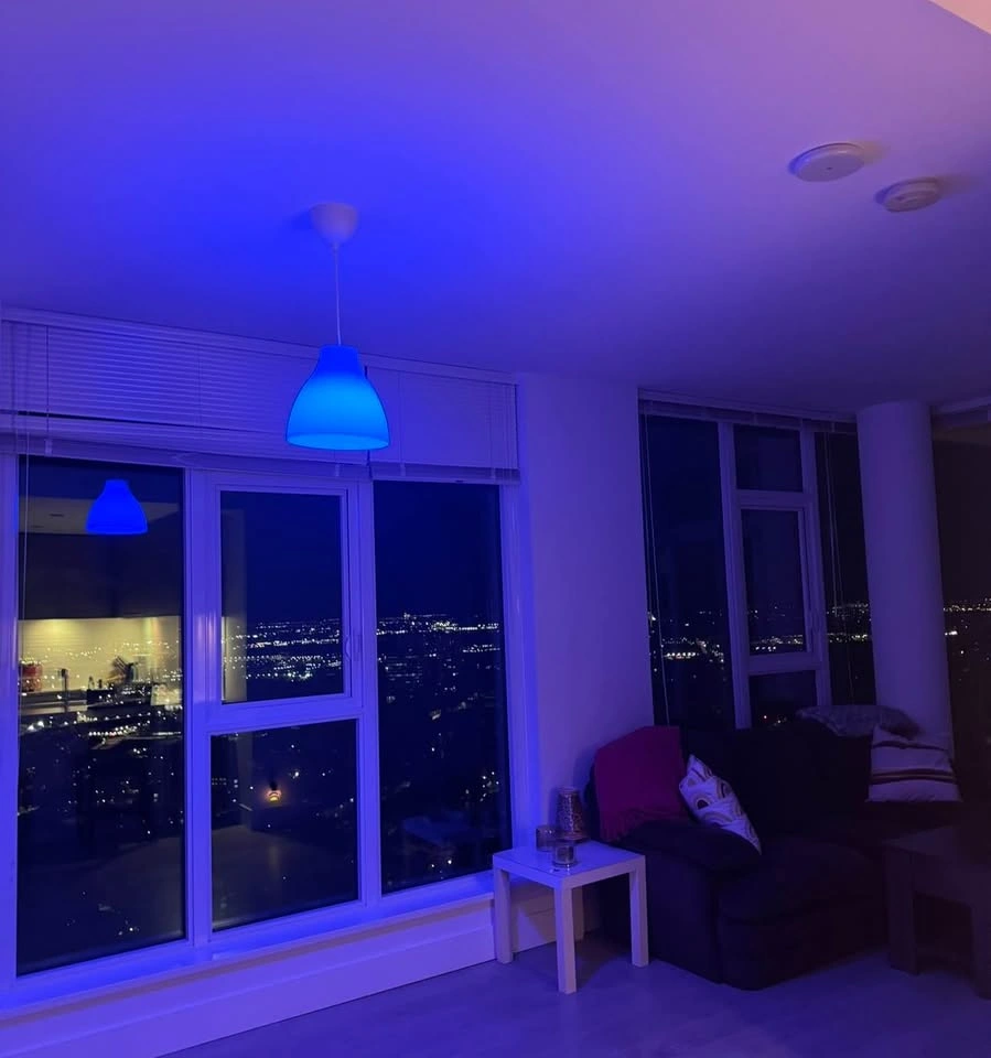 IKEA Pendant Lamp + Phillips Hue Bulb - photo 5