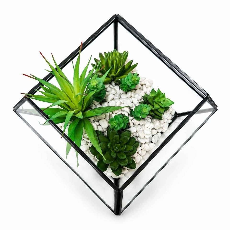 Modern Geometric Succulent Terrarium | Luxe Decor - photo 4