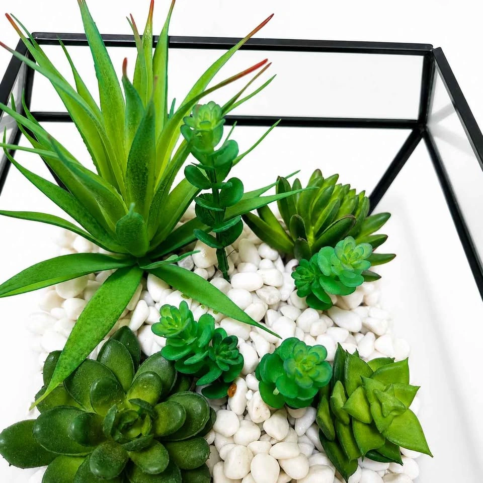 Modern Geometric Succulent Terrarium | Luxe Decor - photo 5
