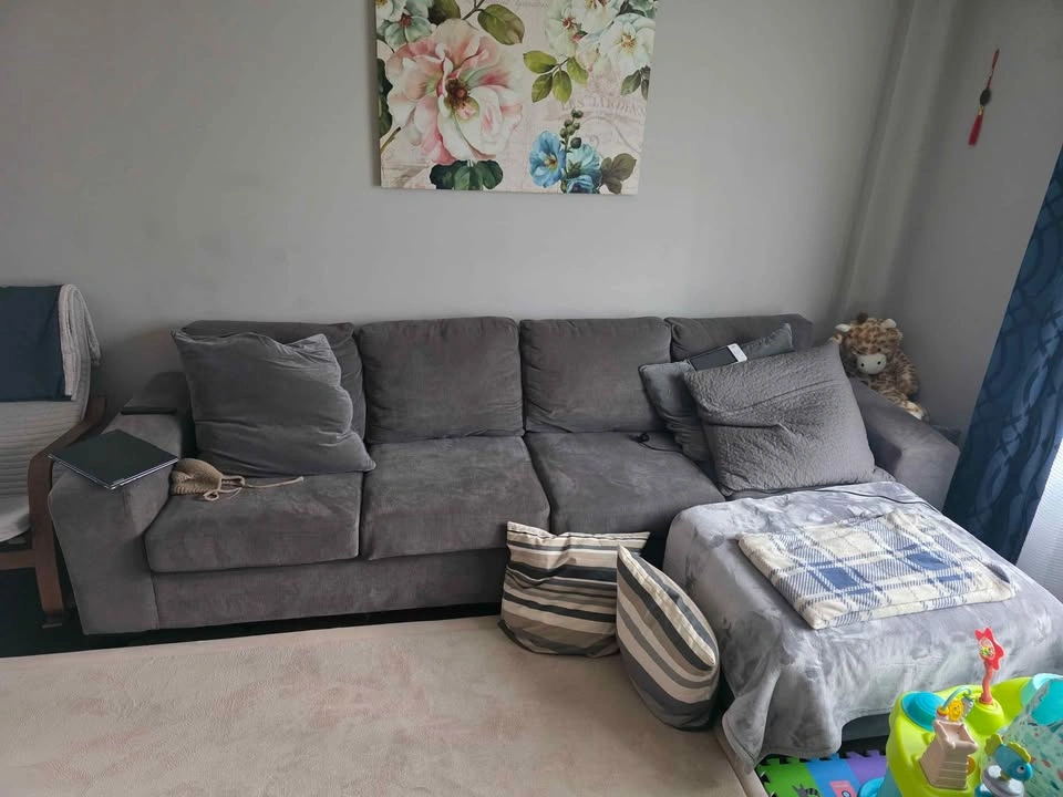 Comfortable Sectional Sofa - Pet-Free Home - photo 4