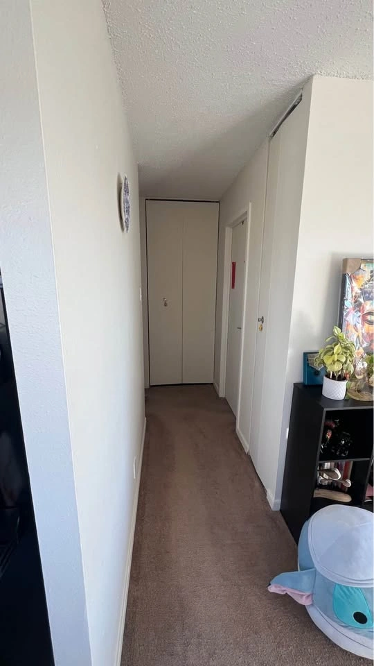 2 Bed 1 Bath Apartment - photo 3
