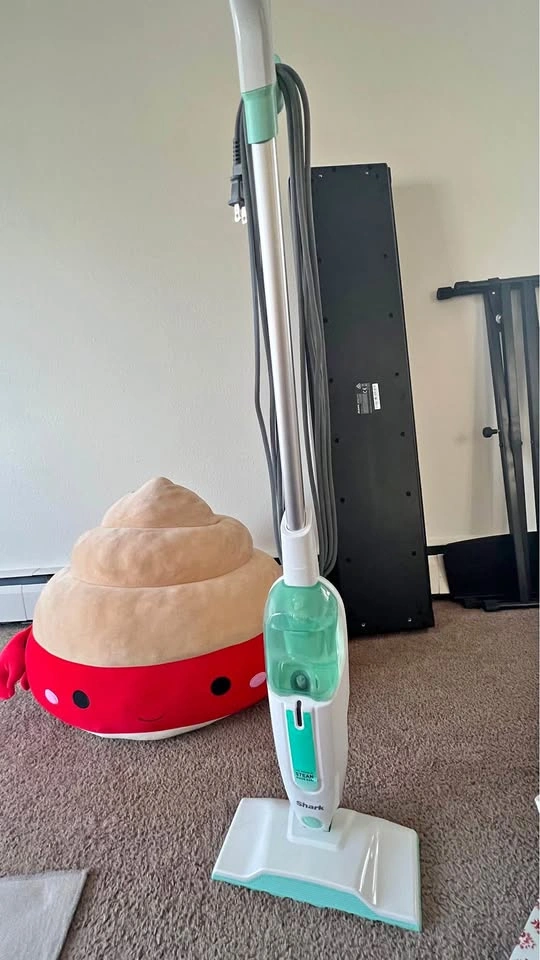 Handheld Steam Mop (Needs Repair)