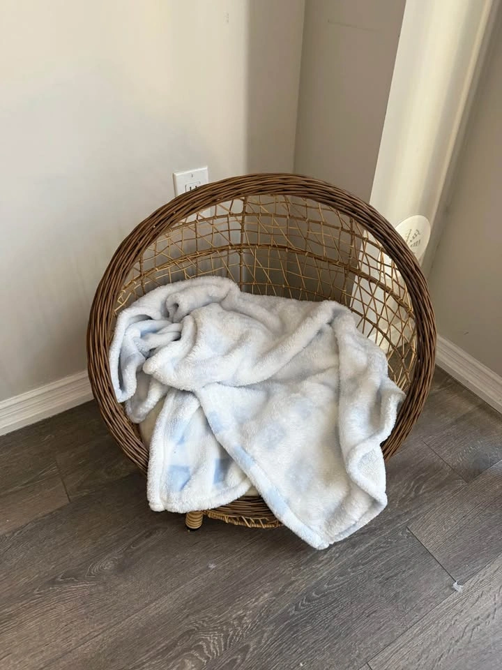 Small Dog Bed + Cushion + Blanket (Unused) - photo 2