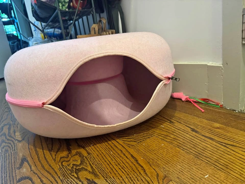 Cat Donut