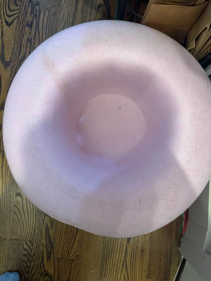Cat Donut - photo 3