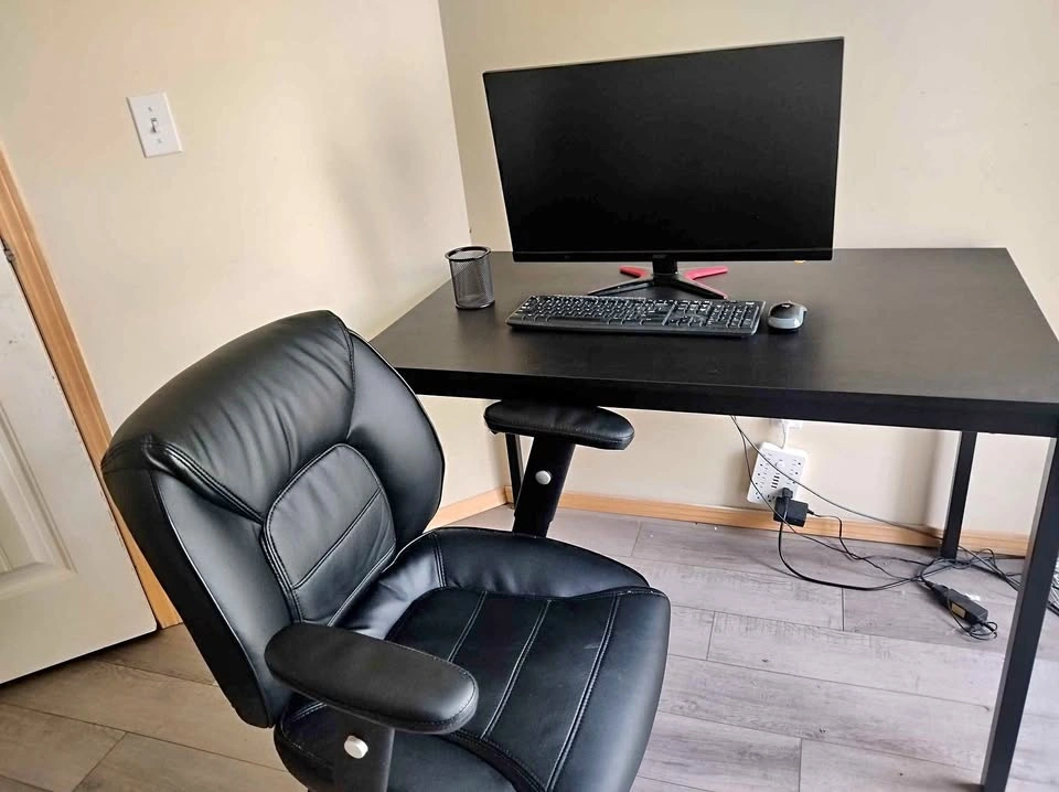 Monitor + Office Setup