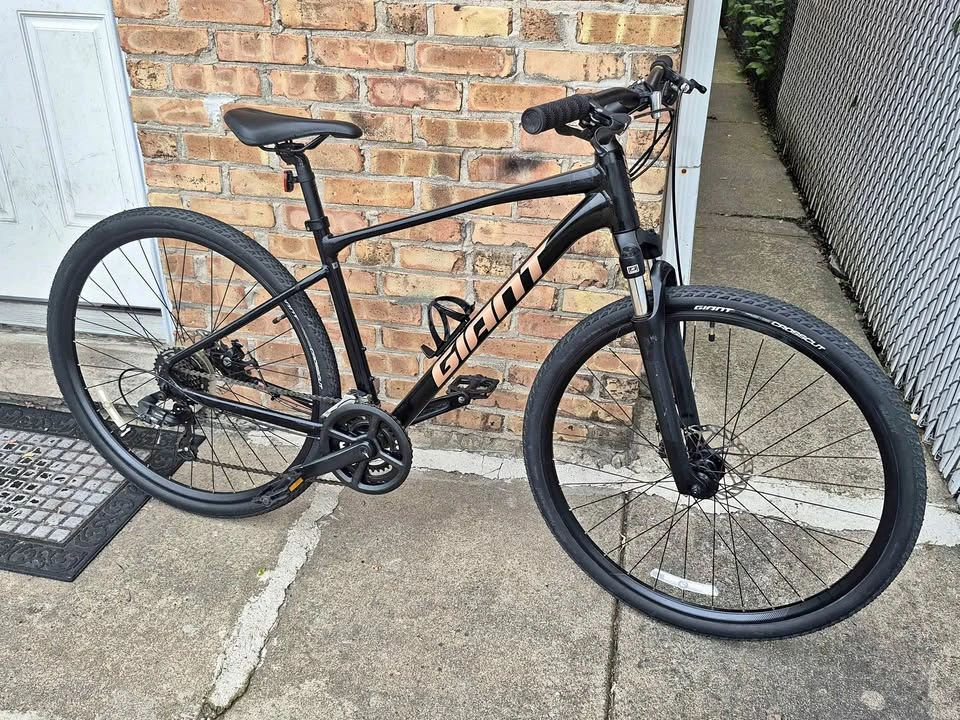 Giant Roam 4 Mountain Bike - Medium
